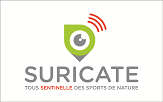 logo suricate